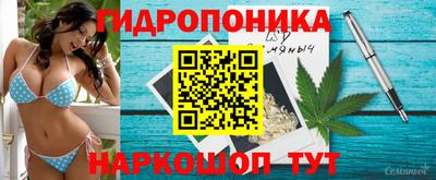 стаф Гусев