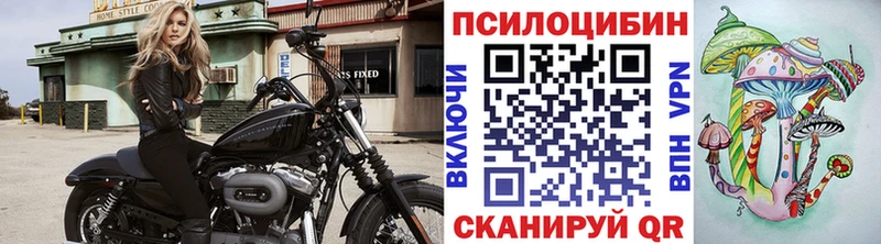 ОМГ ОМГ ссылки купить сайты Таганрог Псилоцибиновые грибы Cubensis